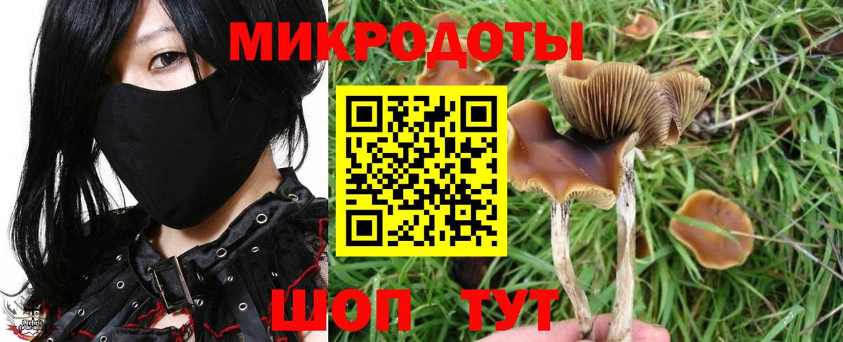 Псилоцибиновые грибы GOLDEN TEACHER Шарыпово