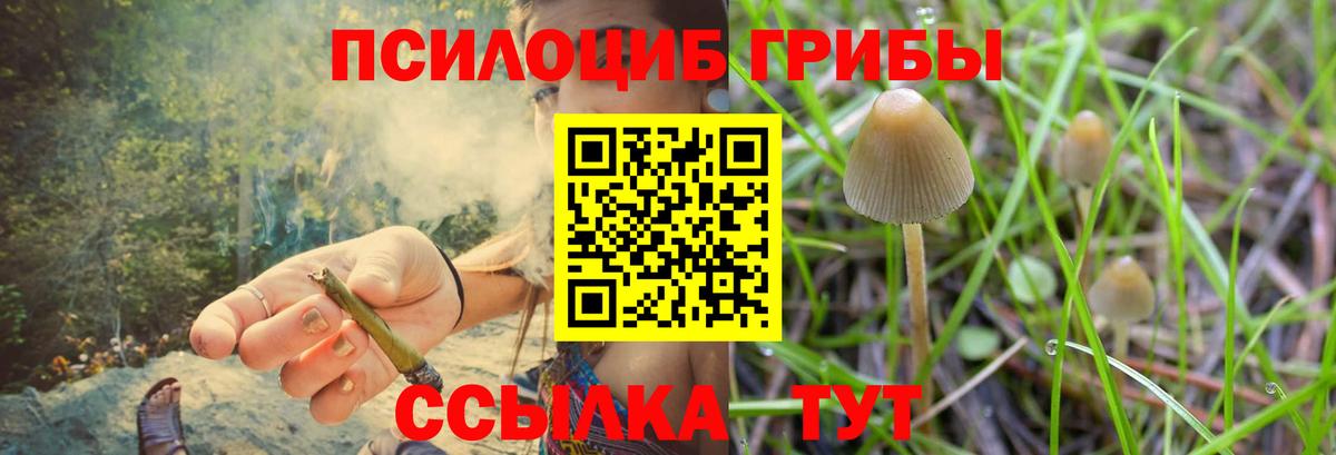 Псилоцибиновые грибы GOLDEN TEACHER  Вход с VPN  Шарыпово 